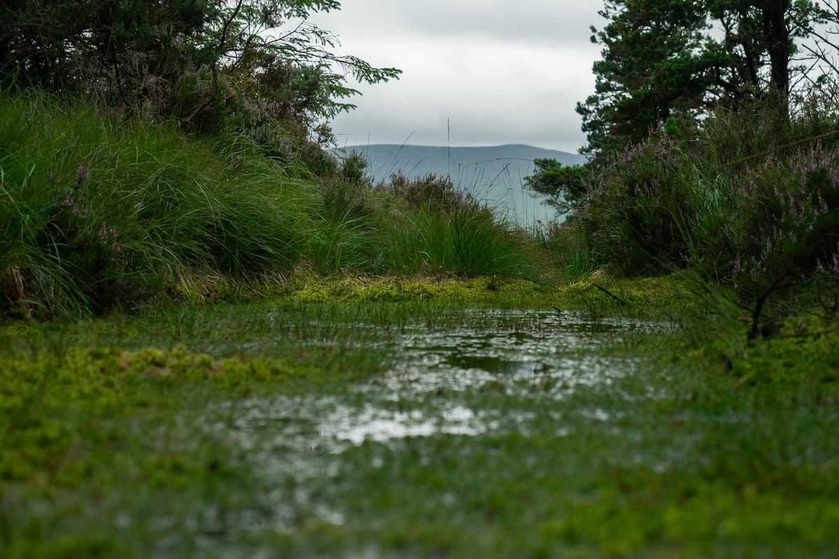 Aurora Peat is comitted to peat moss preservation and reclamation.